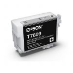 Epson T760900 760 Light Light Black Ink Cartridge